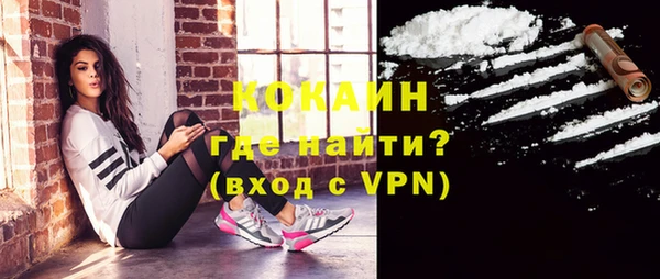 твердый Горняк