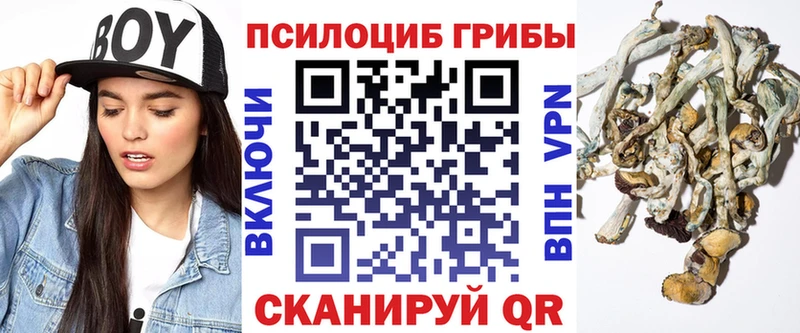 Псилоцибиновые грибы ЛСД  Голицыно 